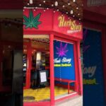 Found the Best Legal Weed Shop in Thailand