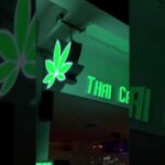 Join the Thai Cannabis Club family and embrace the warmth of our community. #thaicannabisclub