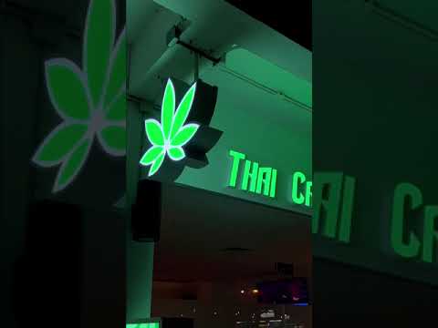 Join the Thai Cannabis Club family and embrace the warmth of our community. #thaicannabisclub