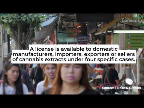 New Developments In Thailand’s Cannabis Law