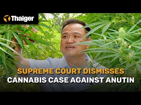 Thailand News | Supreme Court dismisses cannabis case against Anutin