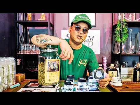 Thailand cannabis shop & ￼ cannabis farm 🍁￼🔥