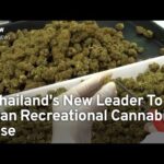 Thailand’s New Prime Minister To Ban Recreational Cannabis Use | TaiwanPlus News