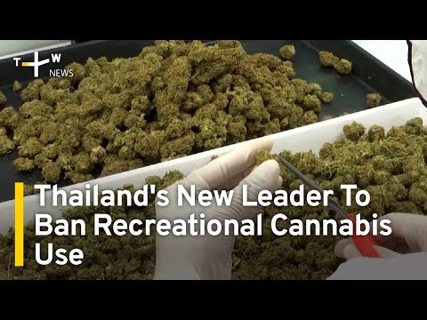 Thailand’s New Prime Minister To Ban Recreational Cannabis Use | TaiwanPlus News