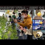 Tourist’s 14-day stay at Phuket airport! Six months left for cannabis shops? || Thailand News