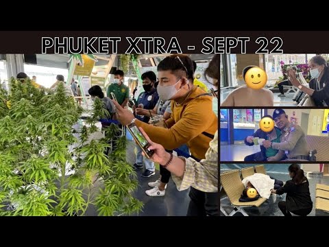 Tourist’s 14-day stay at Phuket airport! Six months left for cannabis shops? || Thailand News