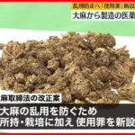 【使用解禁へ】大麻から製造の医薬品  乱用を防ぐため…「使用罪」を新設