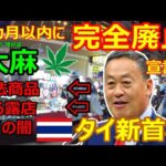 タイ新首相が6カ月以内に大麻（マリファナ）廃止を宣言！実際は？違法商品を堂々と売る露店、タイの闇を紹介【バンコク・ツーリング】2023年10月