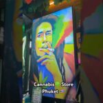 Cannabis 🌿 Store in 🇹🇭 Thailand #thailand #shorts #bobmarley