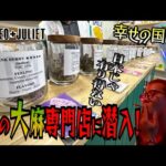 【ROMEO ＋JULIET】タイの大麻専門店に潜入！大麻合法化したタイの今