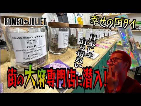 【ROMEO ＋JULIET】タイの大麻専門店に潜入！大麻合法化したタイの今