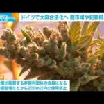 ドイツで大麻合法化向けて閣議決定　闇市場取引や犯罪の抑止狙う(2023年8月17日)