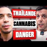 Créer un Business de Cannabis en Thaïlande !