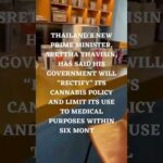 Cannabis Legalization in Thailand: A New Turn for Tourists?