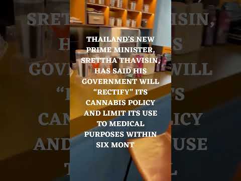 Cannabis Legalization in Thailand: A New Turn for Tourists?