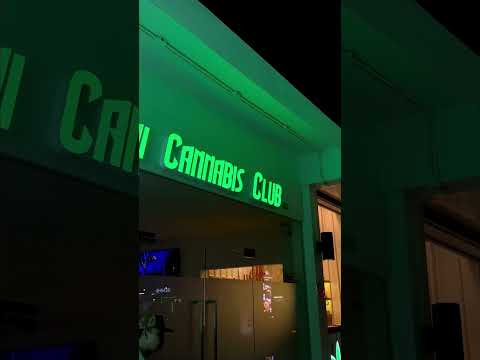 Feel the energy at Thai Cannabis Club – Your urban oasis for all things cannabis! #thaicannabis #tcc