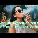 Wie sieht es aktuell mit den Cannabis Gesetzen in Thailand aus? – Pattaya 20.Dezember.2023