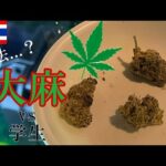 【合法？】大麻解禁された国、タイの大麻ショップに潜入する。国内線でチェンマイへ。