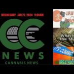 Cannabis News Update – Japan Legalizing Cannabis, What are Thai Sticks, and Hound Labs Breathalyzer!