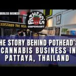 How Pothead’s Cannabis Business Got Started: Erick’s Full Interview