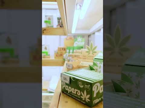 Join us in this captivating video as we unveil the magic of Thai Cannabis Club @Khaosarn Road Club