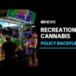 New Thai government backflips on legalisation of recreational cannabis | ABC News