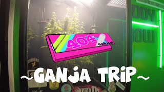 【ガンジャ旅】タイで大麻編🇹🇭#1