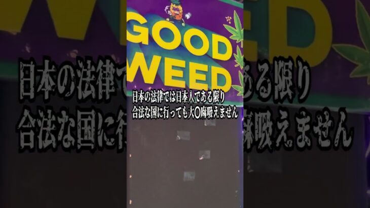 海外で気を付けないと行けない事、タイとかカナダみたく大麻合法な国で吸ったら法律上どうなのか？ #100日後にアフリカ大陸縦断するニート#急上昇