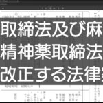 国会提出法案 大麻取締法及び麻薬及び向精神薬取締法の一部を改正する法律案を読む #5