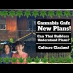 Bridging Cultures | Communicating Plans for a Cannabis Cafe in Thailand with Thai Builders!