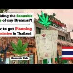 Building a Cannabis Cafe in Thailand! | How to Get Planning Permission!? Expat Living in Thailand