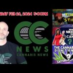 Cannabis News Update – Thai Sticks – Part 2, Candidates Stand on MJ , and Cannabis Ruderalis