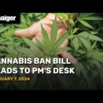 Thailand News Feb. 7: Cannabis ban bill heads to PM’s desk