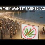 Thailand’s Government ‘Accidentally’ Legalised Weed