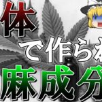 【ゆっくり解説】体内で大麻が作用する仕組み