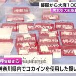 違法薬物の密売人か…コカイン使用の疑いで日本人とタイ人の男女2人逮捕 男の自宅から1千万円相当の大麻等押収