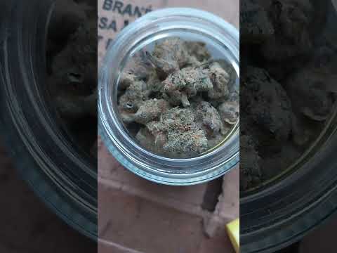 Choc0late ThAi “: sativa : cannabis review +” you can run away if you want t0…..”