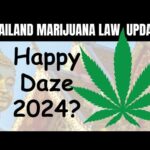 Is Marijuana Legal in Thailand 2024? Thailand cannabis laws. The new weed capital of the world?