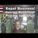 Pricing up Cannabis! How to Start a Business in Thailand as an expat! 🇹🇭💯♥️🍁👍💕