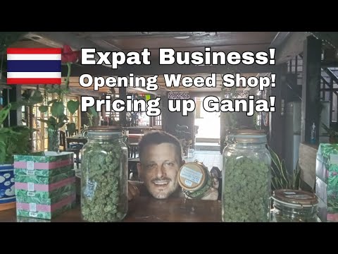 Pricing up Cannabis! How to Start a Business in Thailand as an expat! 🇹🇭💯♥️🍁👍💕