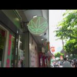 Thailand Aims to Ban Recreational Cannabis