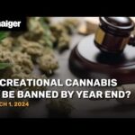 Thailand News Mar. 1: Recreational Cannabis to be banned by year end?