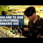 Thailand to ban recreational cannabis use by year-end