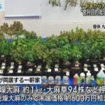 “大麻栽培・所持”男３人逮捕　多数の客に密売か