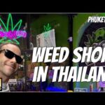 Exploring Legal Cannabis in Thailand | Prices & Quality Walkthrough