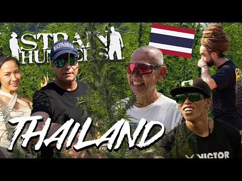 Strain Hunters: Thailand Expedition Episode 01