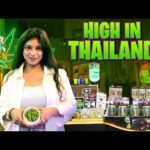 Thailand Cannabis + Legal Ganja Shops + Night Life 🇹🇭 ❤️