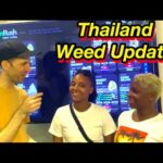 Thailand Marijuana Update: Will It Stay Legal?