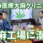 タイの医療大麻クリニック&大麻抽出工場に潜入！