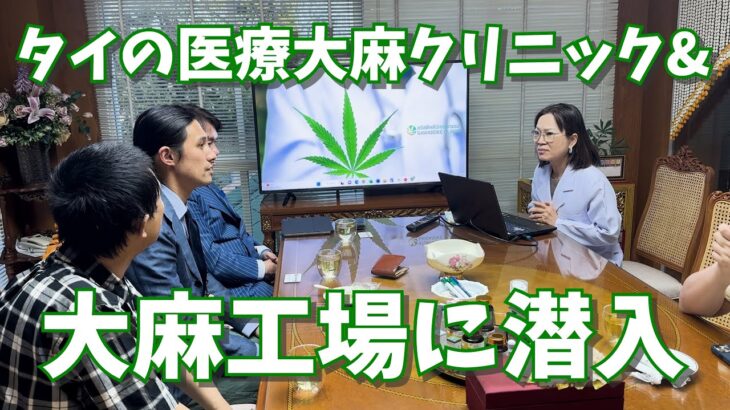 タイの医療大麻クリニック&大麻抽出工場に潜入！